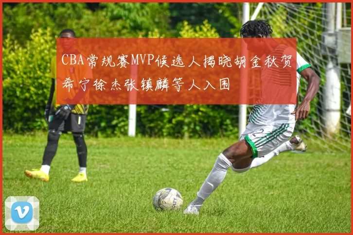 CBA常规赛MVP候选人揭晓胡金秋贺希宁徐杰张镇麟等人入围
